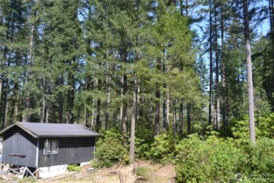 80 NE Collins Drive E, Tahuya, WA 98588 - Photo 2