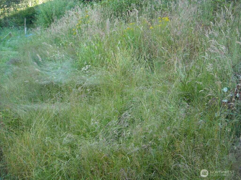 514 E 55th Street , Tacoma, WA 98404