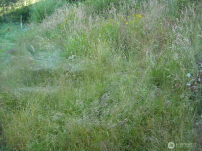 514 E 55th Street , Tacoma, WA 98404