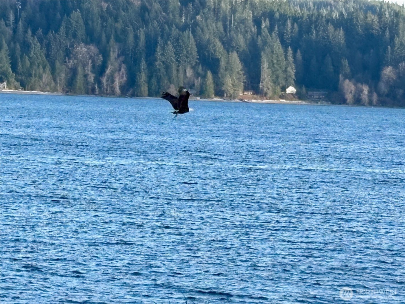 1 N US Highway 101 , Hoodsport, WA 98548