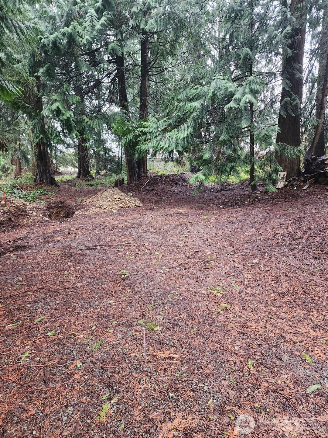 10115 226th Avenue Ct E, Buckley, WA 98321