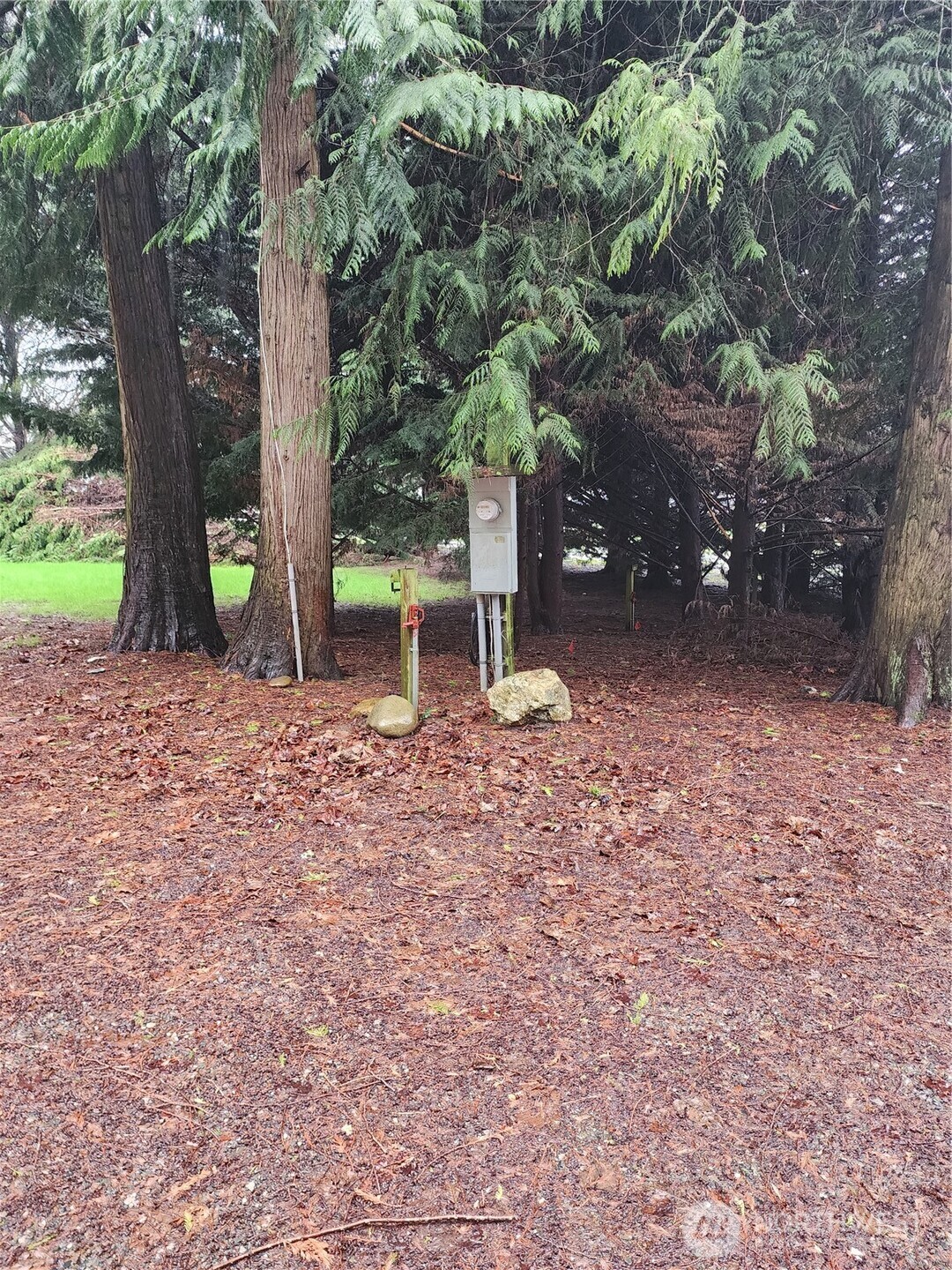 10115 226th Avenue Ct E, Buckley, WA 98321