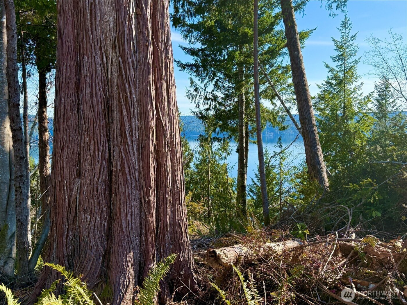 63 Devereaux Drive , Lilliwaup, WA 98555