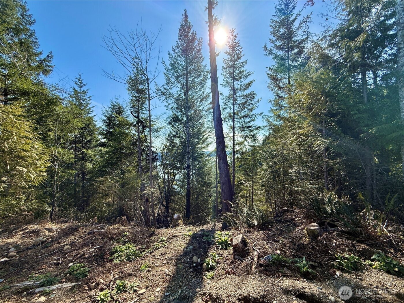 63 Devereaux Drive , Lilliwaup, WA 98555