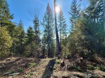 63 Devereaux Drive , Lilliwaup, WA 98555 - Photo 11