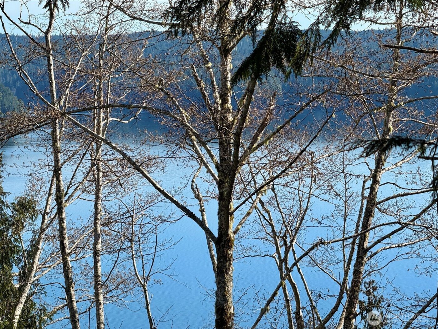 63 Devereaux Drive , Lilliwaup, WA 98555