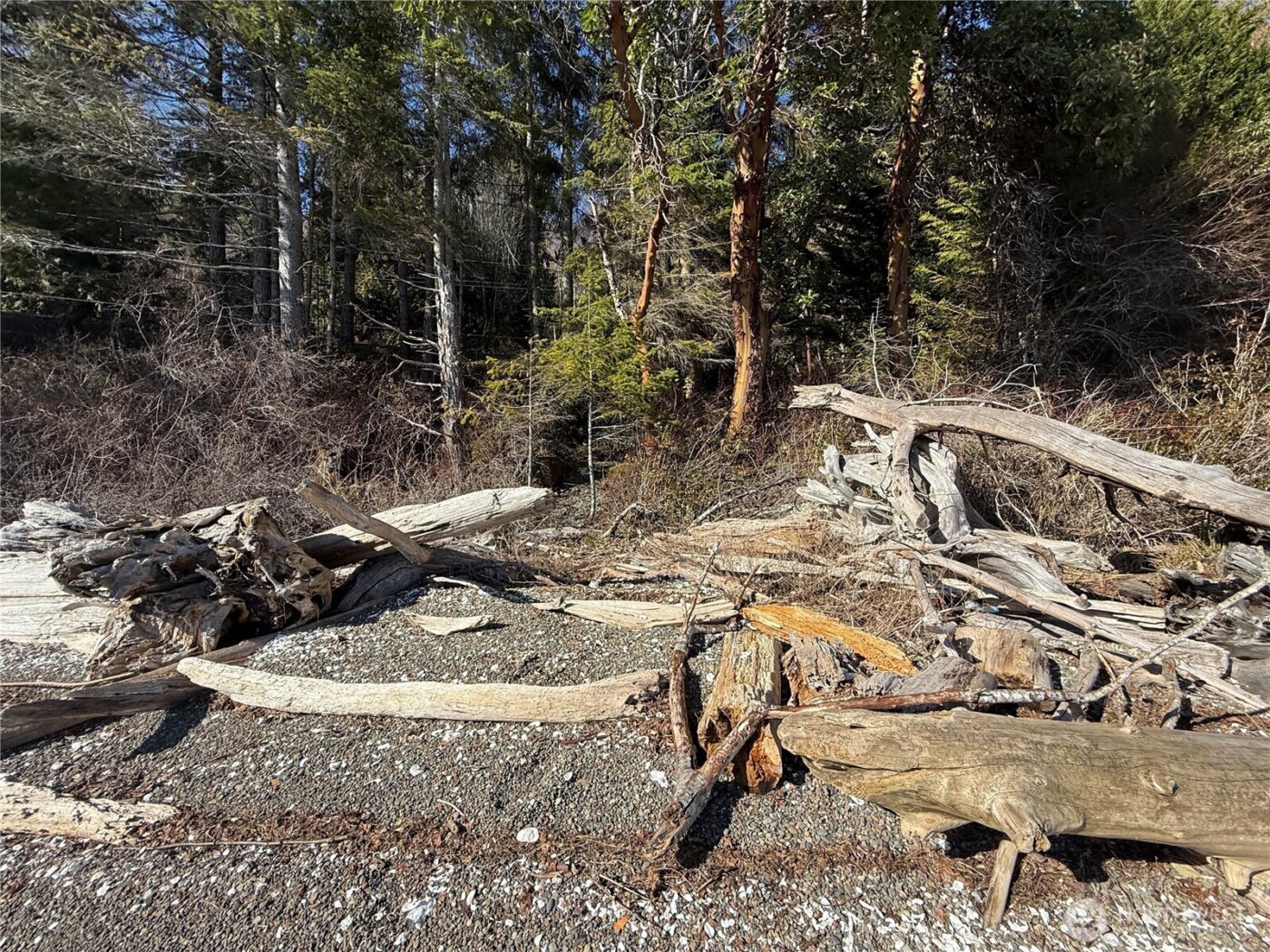 63 Devereaux Drive , Lilliwaup, WA 98555