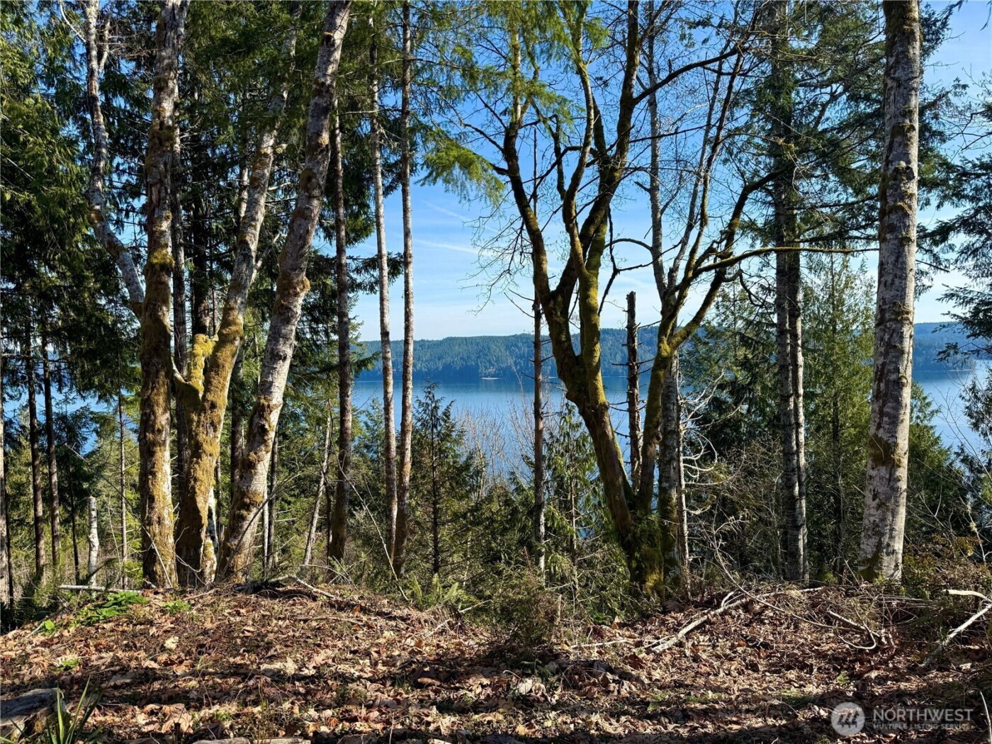 63 Devereaux Drive , Lilliwaup, WA 98555