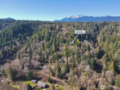 63 Devereaux Drive , Lilliwaup, WA 98555 - Photo 29