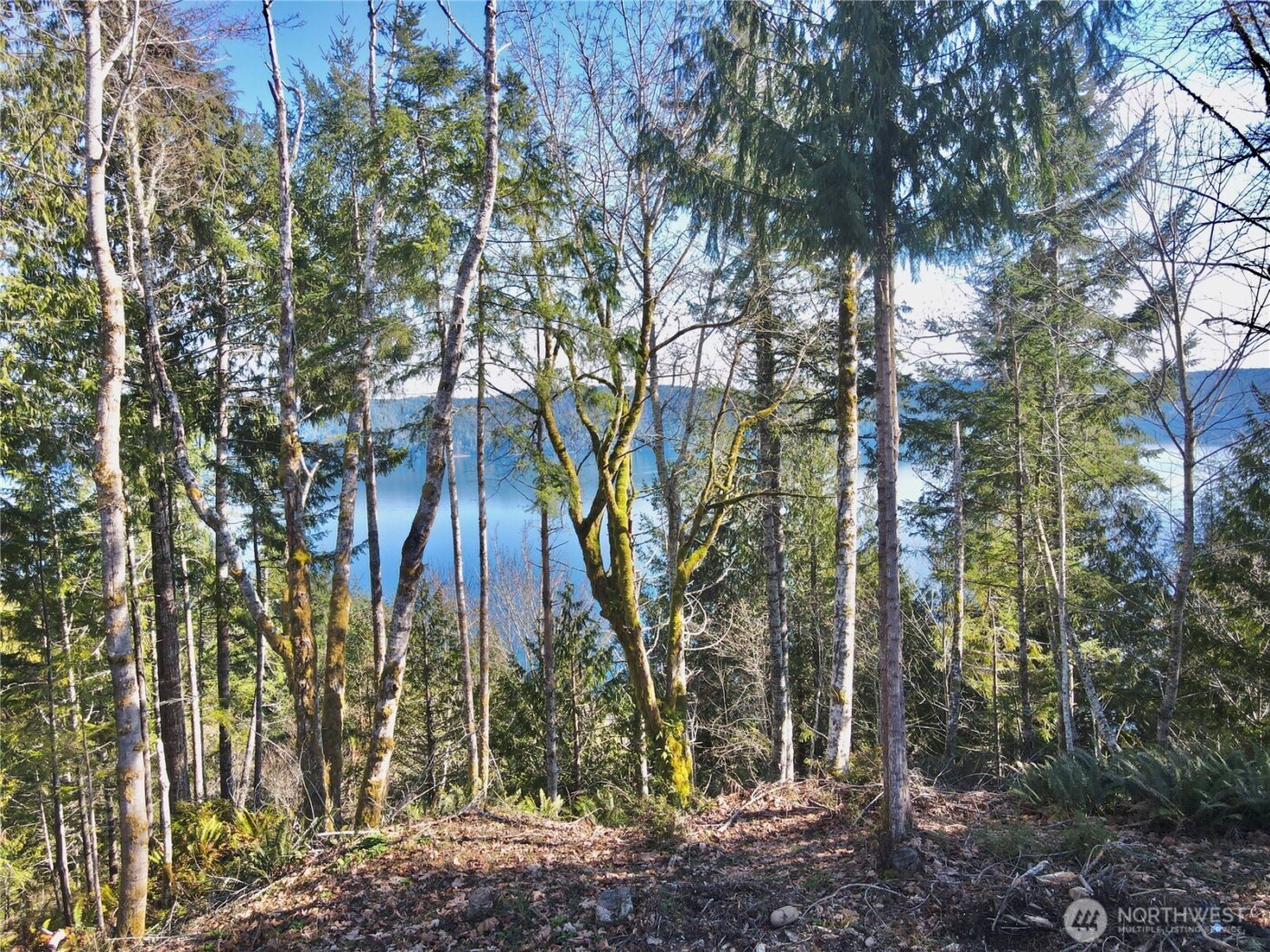 63 Devereaux Drive , Lilliwaup, WA 98555