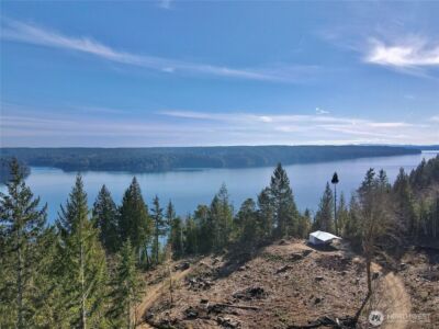 63 Devereaux Drive , Lilliwaup, WA 98555 - Photo 32
