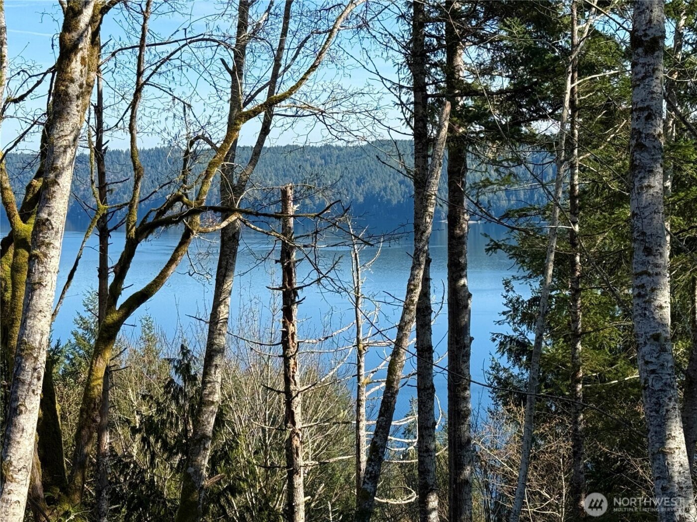 63 Devereaux Drive , Lilliwaup, WA 98555