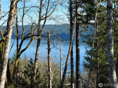 63 Devereaux Drive , Lilliwaup, WA 98555 - Photo 33