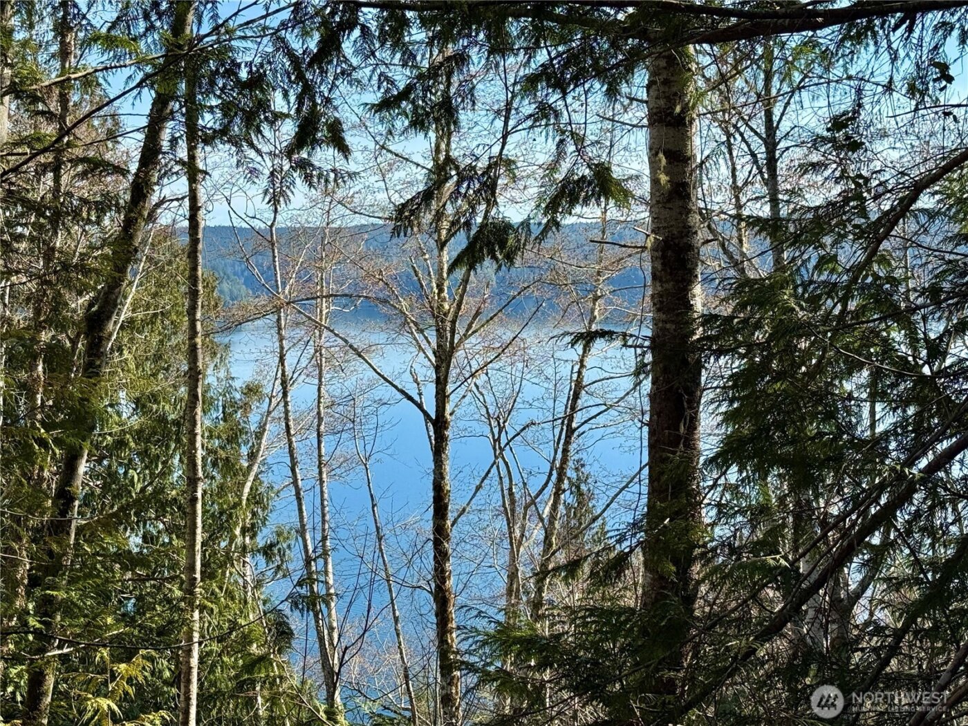 63 Devereaux Drive , Lilliwaup, WA 98555