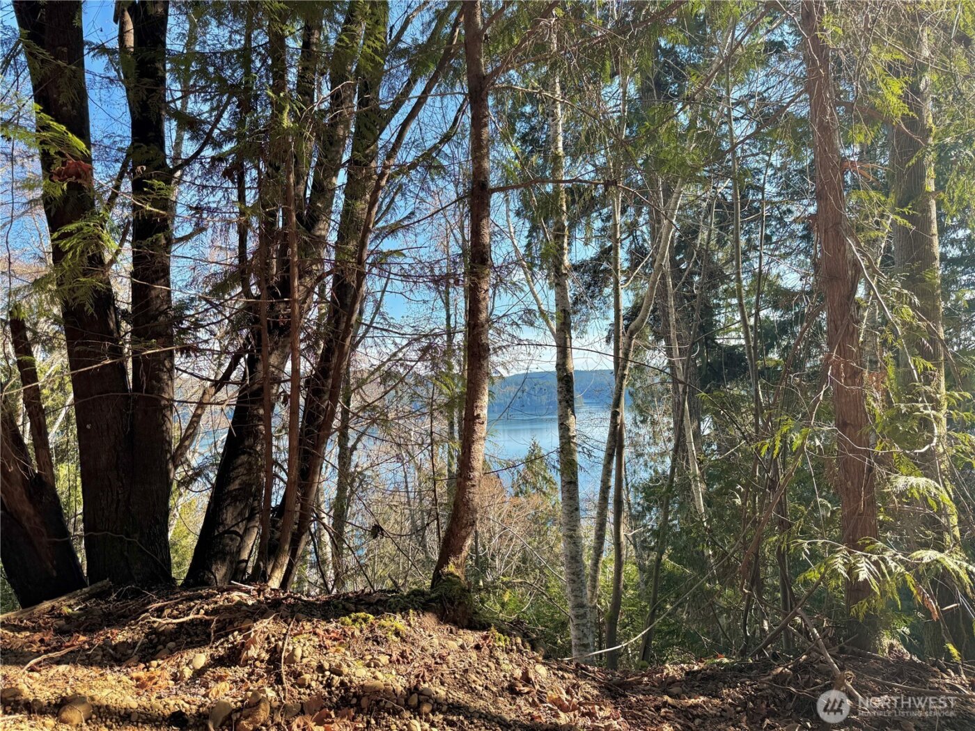 63 Devereaux Drive , Lilliwaup, WA 98555