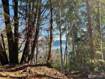 63 Devereaux Drive , Lilliwaup, WA 98555 - Photo 35