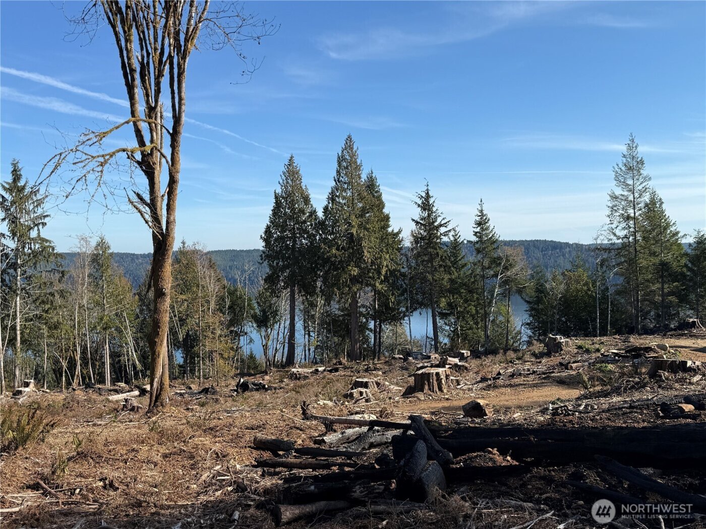 63 Devereaux Drive , Lilliwaup, WA 98555