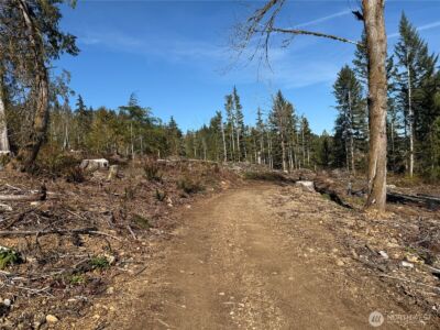 65 Devereaux Drive , Lilliwaup, WA 98555 - Photo 24
