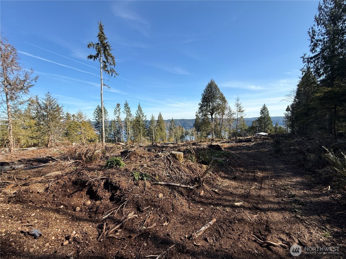 65 Devereaux Drive , Lilliwaup, WA 98555