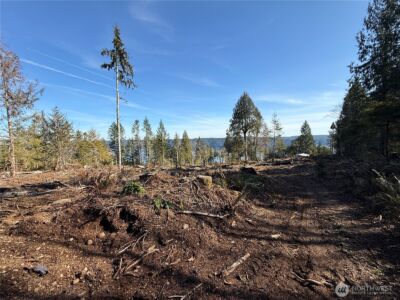 65 Devereaux Drive , Lilliwaup, WA 98555 - Photo 25