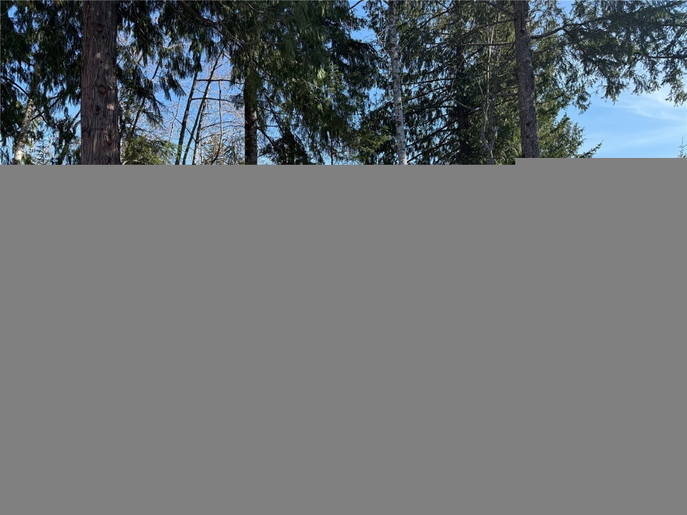 65 Devereaux Drive , Lilliwaup, WA 98555