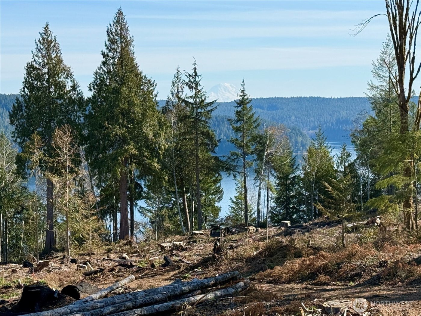 65 Devereaux Drive , Lilliwaup, WA 98555