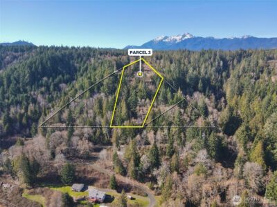 65 Devereaux Drive , Lilliwaup, WA 98555 - Photo 10