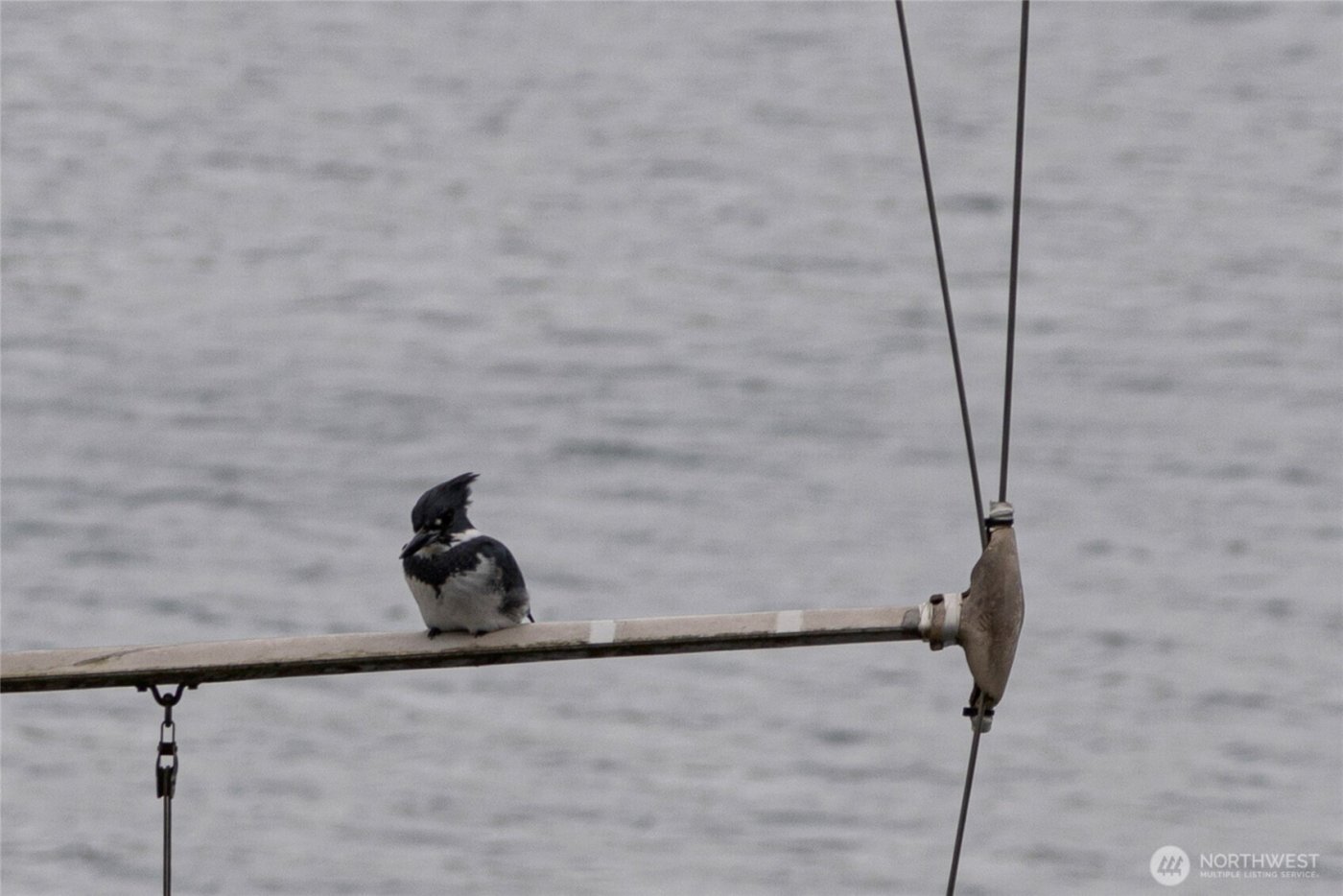 241 Warbass Way #A202, Friday Harbor, WA 98250