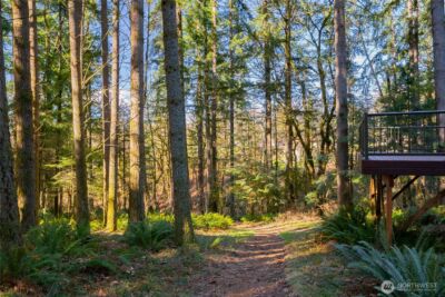 30606 NE Harrison Road , Battle Ground, WA 98604 - Photo 30