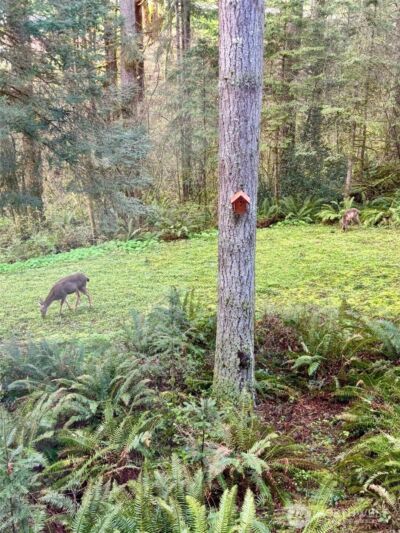 30606 NE Harrison Road , Battle Ground, WA 98604 - Photo 34