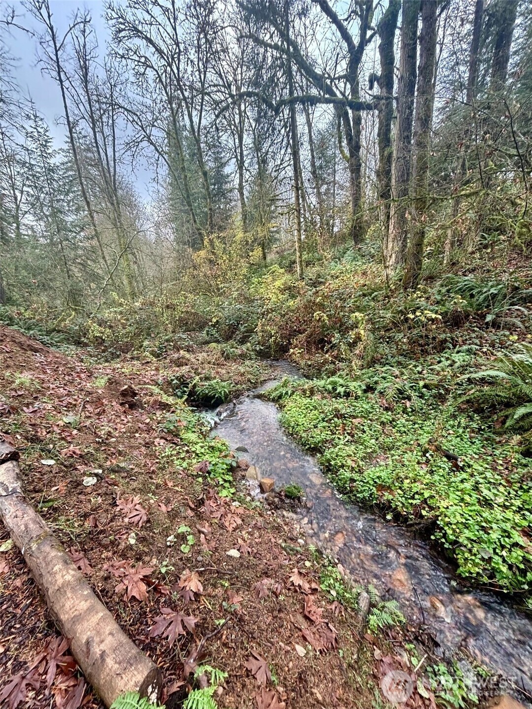 30606 NE Harrison Road , Battle Ground, WA 98604