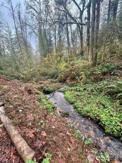 30606 NE Harrison Road , Battle Ground, WA 98604 - Photo 35