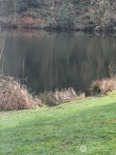 27120 NE 152nd Street , Duvall, WA 98019 - Photo 4