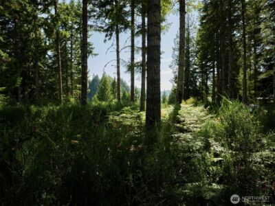 0 Phyllis Ann Block Court , Cougar, WA 98616