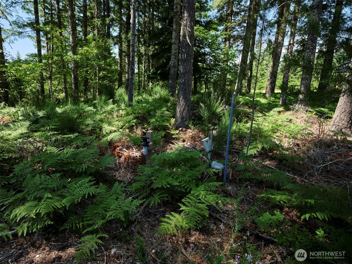 0 Phyllis Ann Block Court , Cougar, WA 98616