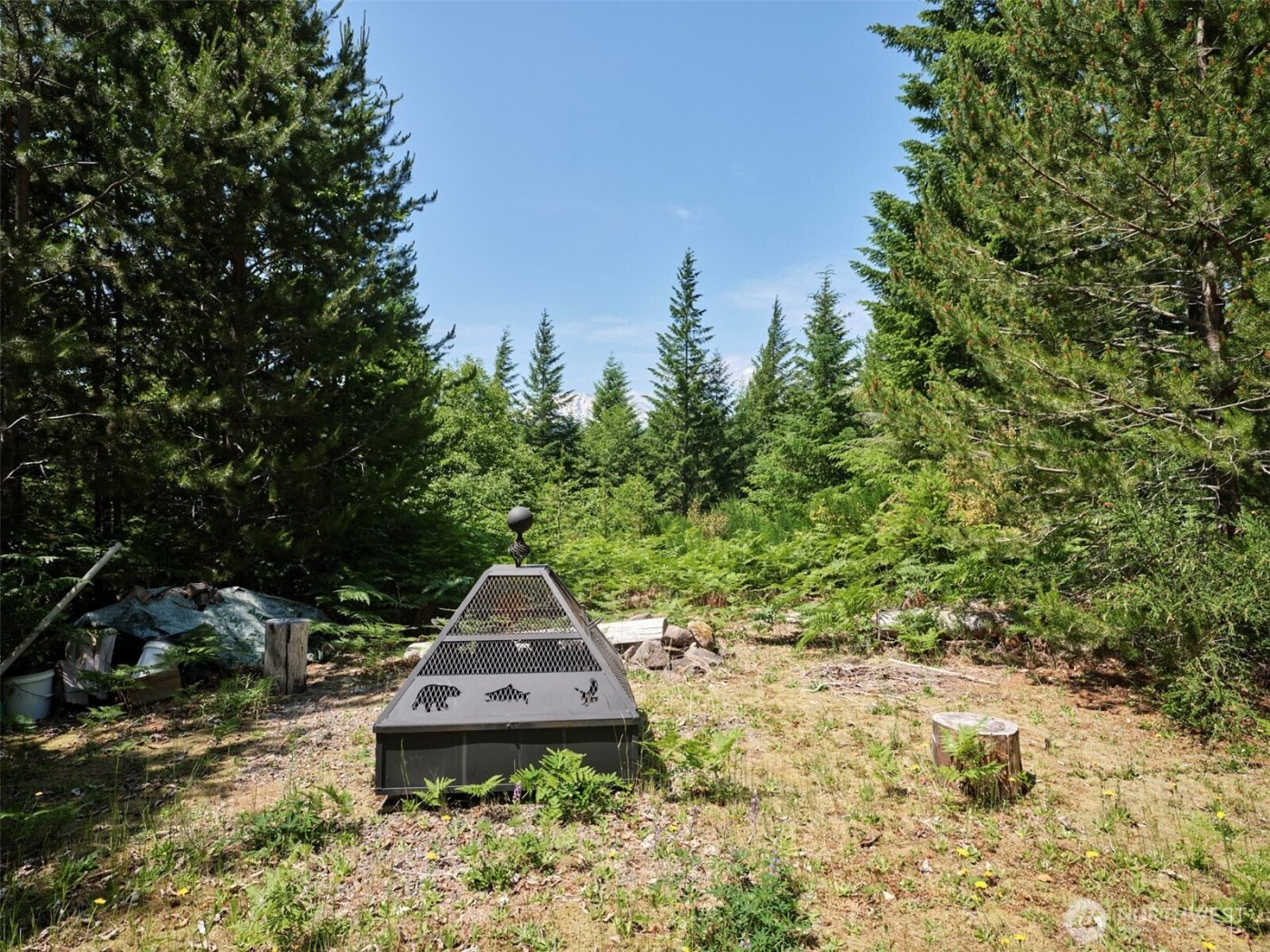 0 Phyllis Ann Block Court , Cougar, WA 98616
