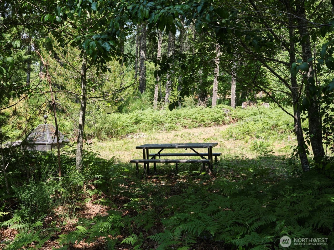 0 Phyllis Ann Block Court , Cougar, WA 98616