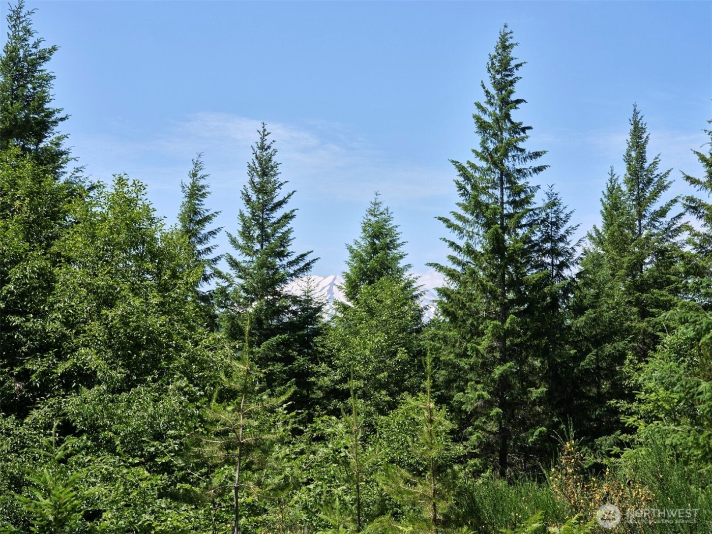 0 Phyllis Ann Block Court , Cougar, WA 98616