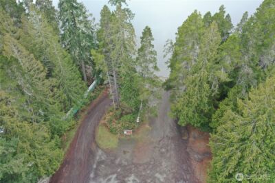 721 E Phillips Lake Loop Road , Shelton, WA 98584 - Photo 18