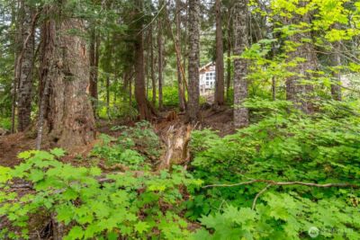 14 Arlberg Place , Snoqualmie Pass, WA 98068 - Photo 11
