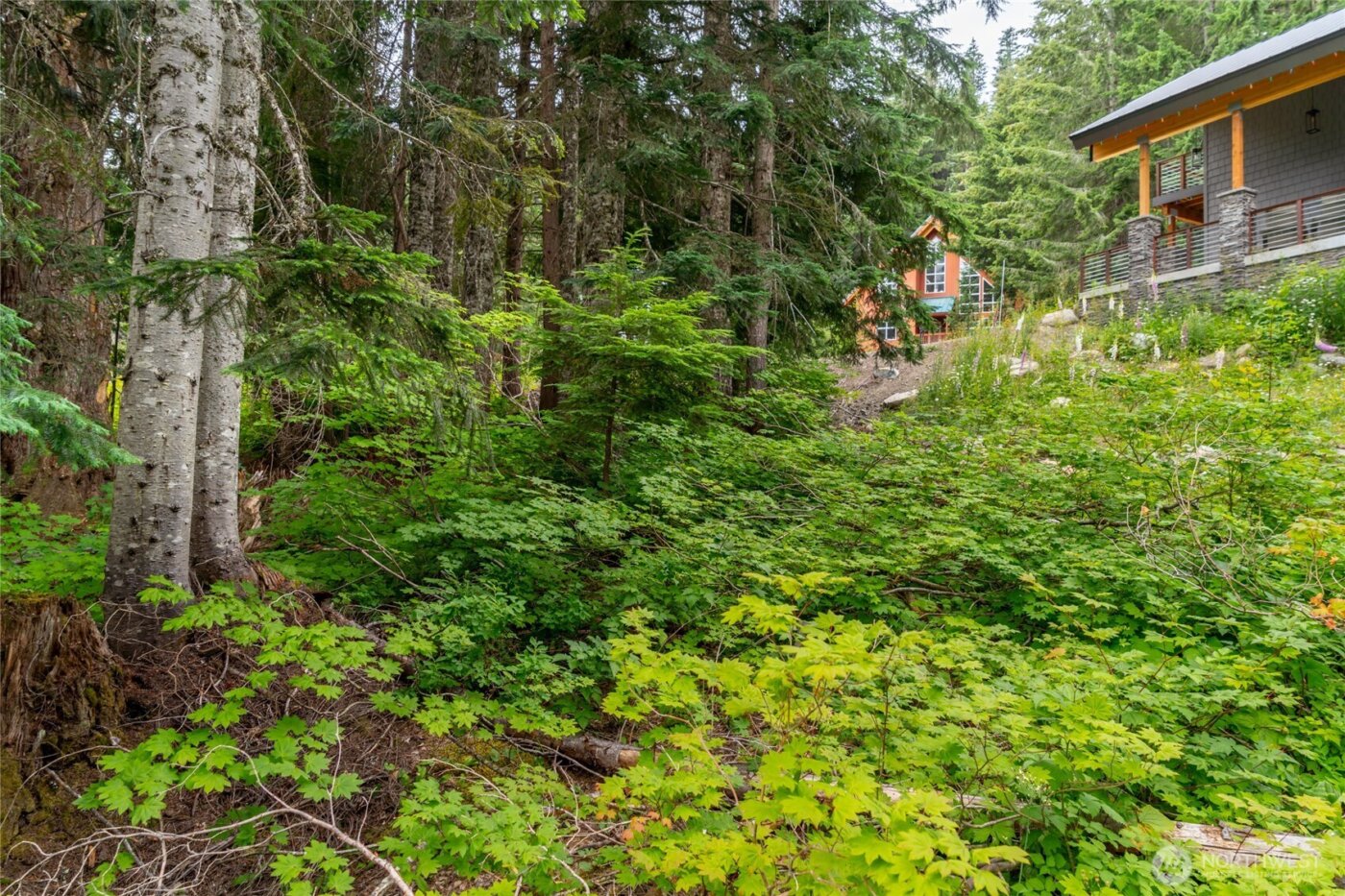 14 Arlberg Place , Snoqualmie Pass, WA 98068