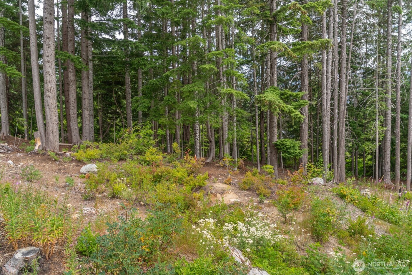 14 Arlberg Place , Snoqualmie Pass, WA 98068