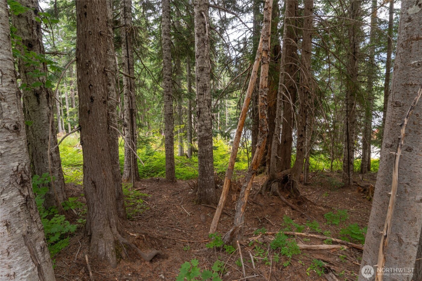 14 Arlberg Place , Snoqualmie Pass, WA 98068