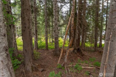 14 Arlberg Place , Snoqualmie Pass, WA 98068 - Photo 9