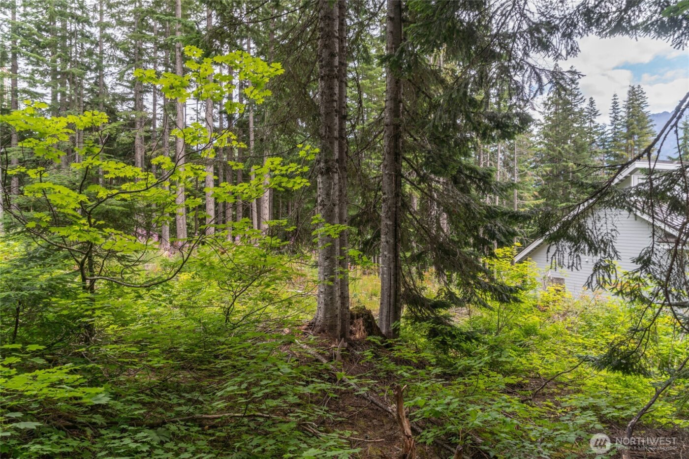 14 Arlberg Place , Snoqualmie Pass, WA 98068