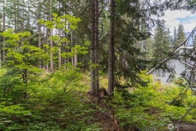 14 Arlberg Place , Snoqualmie Pass, WA 98068 - Photo 10