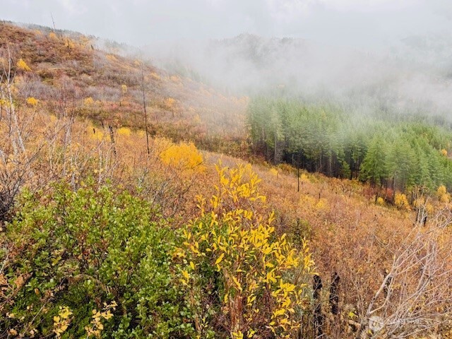 14638 US Hwy 2 , Leavenworth, WA 98826