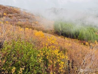 14638 US Hwy 2 , Leavenworth, WA 98826 - Photo 2