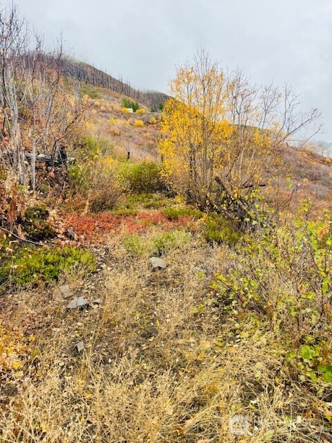 14638 US Hwy 2 , Leavenworth, WA 98826