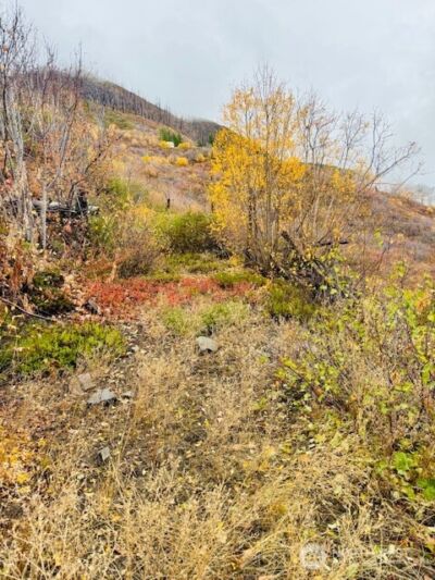 14638 US Hwy 2 , Leavenworth, WA 98826 - Photo 4